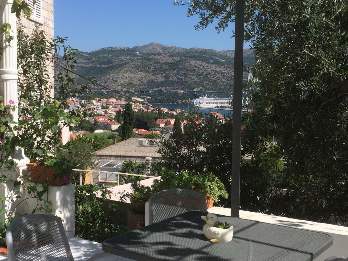 Vitis Apartman